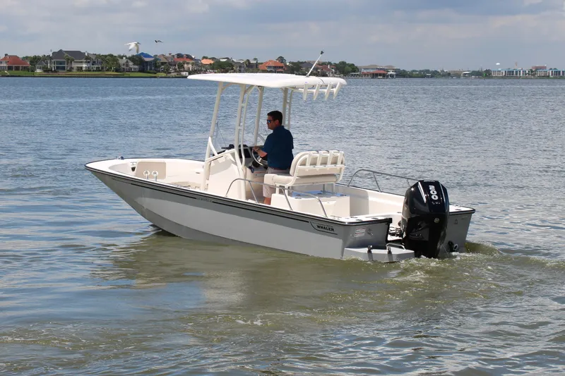 Slide: The Image of Boston Whaler 210 Montauk 2026 - 1