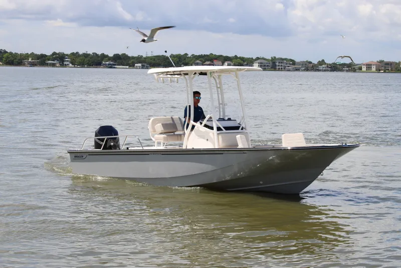 Slide: The Image of Boston Whaler 210 Montauk 2026 - 9