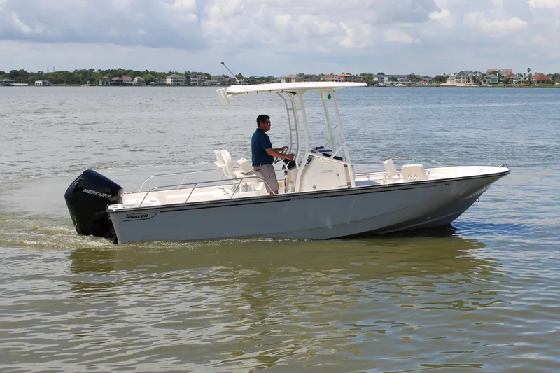 Slide: The Image of Boston Whaler 210 Montauk 2026 - 8
