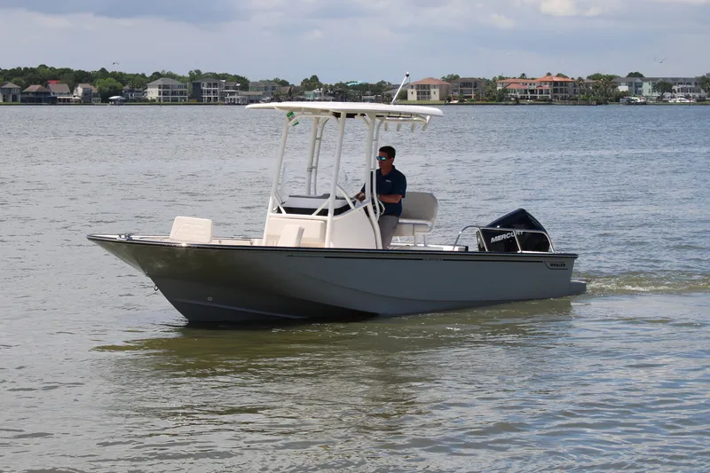 Slide: The Image of Boston Whaler 210 Montauk 2026 - 14