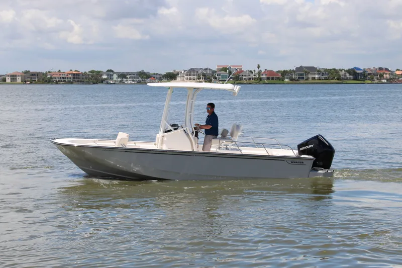 Slide: The Image of Boston Whaler 210 Montauk 2026 - 15