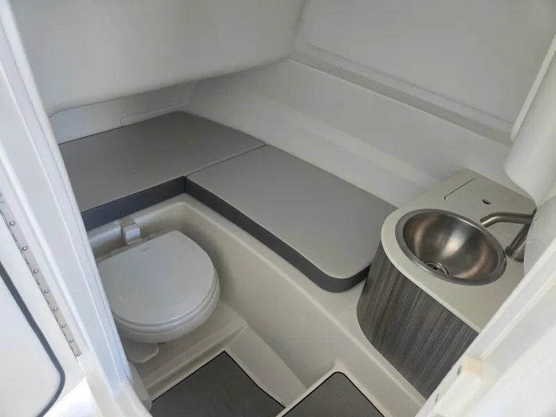 Slide: The Image of Sea Ray SDX 250 Outboard 2026 - 13