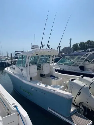 Slide: The Image of Striper 270 Walk Around 2019 - 5