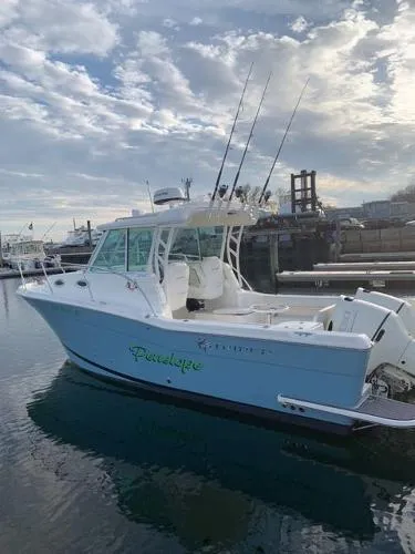 Slide: The Image of Striper 270 Walk Around 2019 - 7