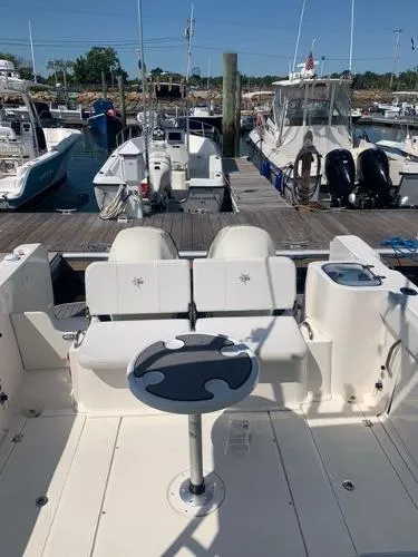 Slide: The Image of Striper 270 Walk Around 2019 - 9