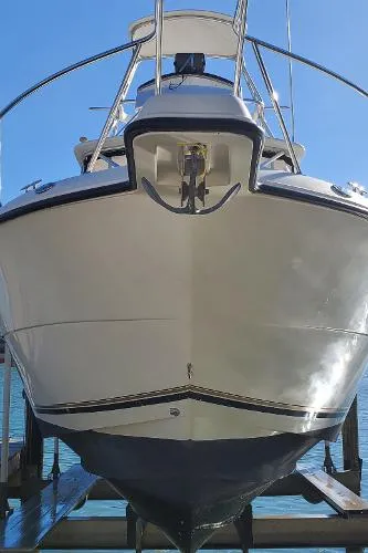 Slide: The Image of Shamrock 290 Offshore 2003 - 3