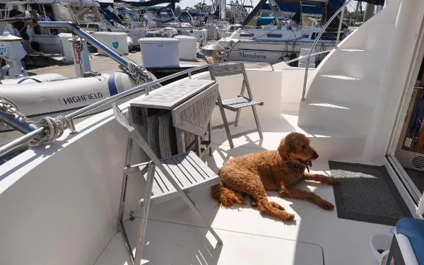 Slide: The Image of Fountaine Pajot Maryland 37 2002 - 11