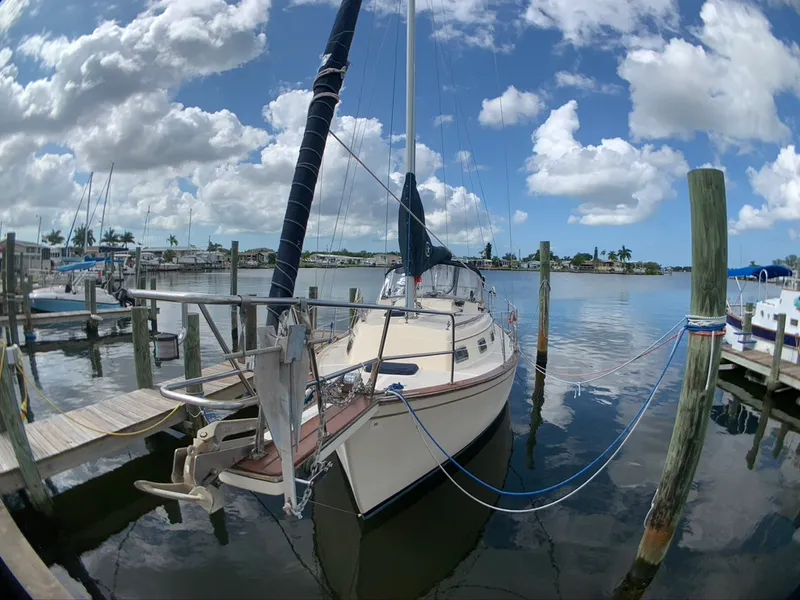 Slide: The Image of Island Packet 27 1991 - 1