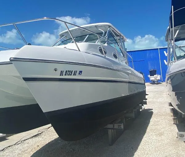 Slide: The Image of Glacier Bay 2770 2012 - 3