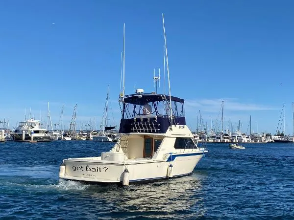 Slide: The Image of Hatteras 32 Flybridge Fisherman 1986 - 1