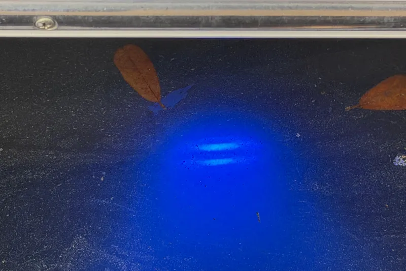 Slide: The Image of Blue underwater light on a 2021 Regal 36 XO boat with floating leaves. - 65