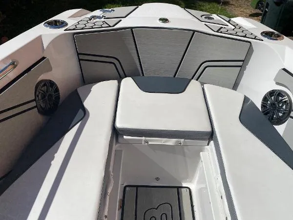 Slide: The Image of Scarab 255 2019 - 2