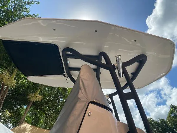 Slide: The Image of Scarab 255 2019 - 8