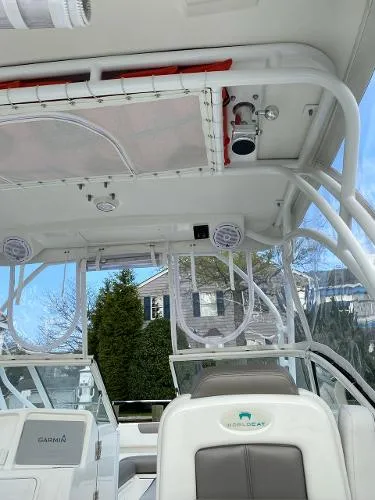 Slide: The Image of World Cat 255 DC 2019 - 6