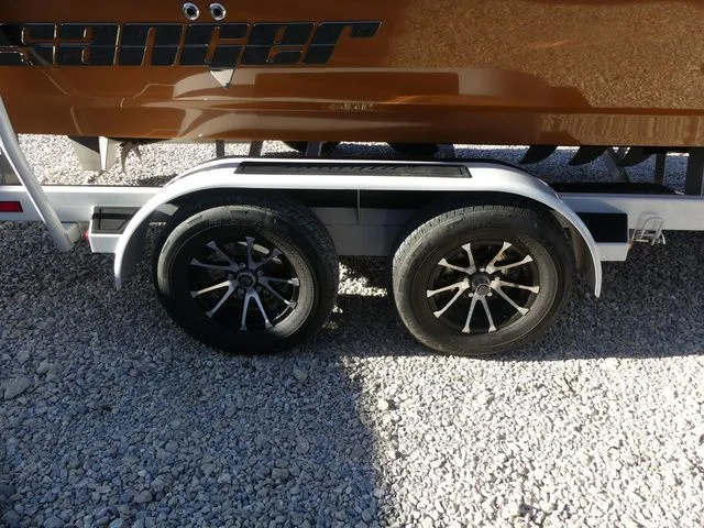 Slide: The Image of Sanger V215 SX 2023 - 11