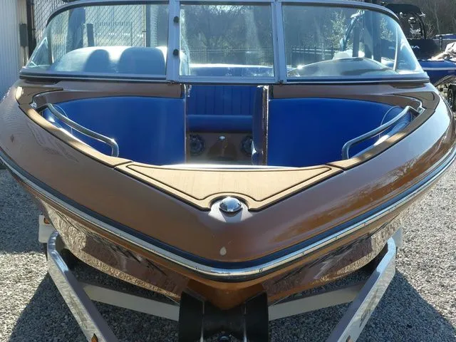 Slide: The Image of Sanger V215 SX 2023 - 13