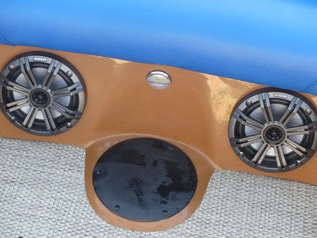 Slide: The Image of Sanger V215 SX 2023 - 19