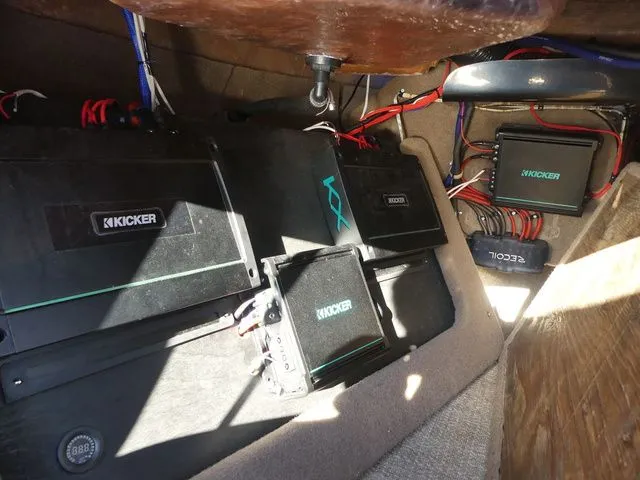 Slide: The Image of Sanger V215 SX 2023 - 28