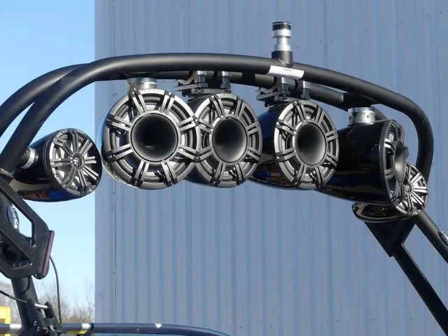 Slide: The Image of Sanger V215 SX 2023 - 6