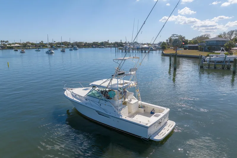 Slide: The Image of 1997 Tiara Yachts 3500 Express cruising in a serene marina setting. - 4