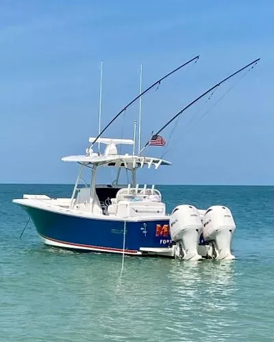 Slide: The Image of Regulator Marine 31 2019 - 0