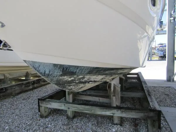 Slide: The Image of Bayliner 2665 Ciera 2000 - 5