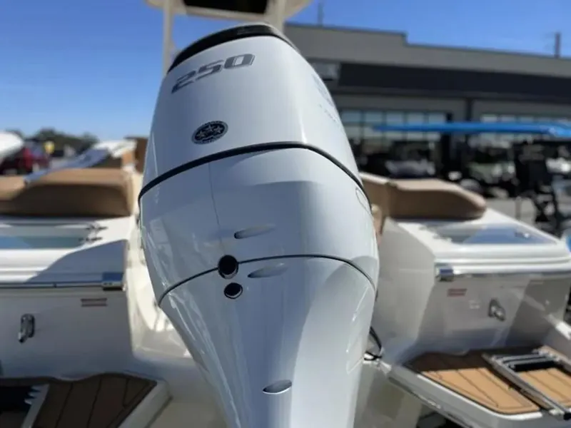 Slide: The Image of Pioneer 222 Islander 2024 - 3