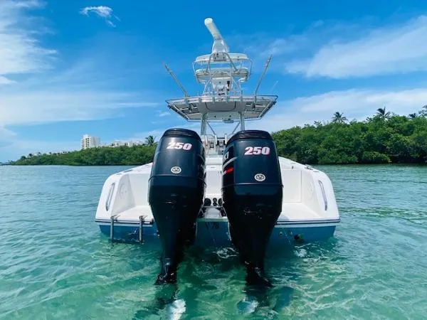 Slide: The Image of Stamas 308 Predator 2010 - 11