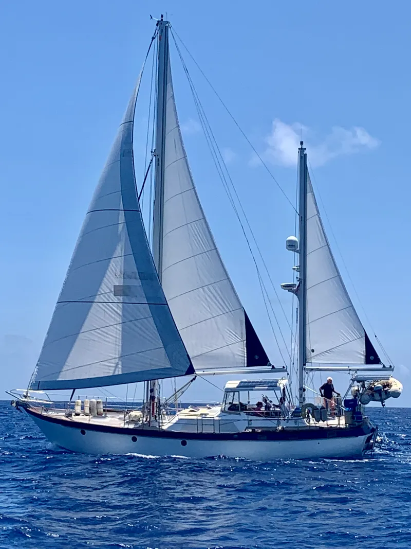 Slide: The Image of Transpacific Marine Transpac 49 MKII 1980 - 4