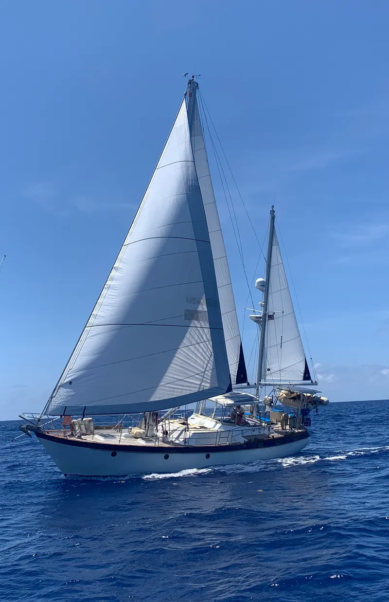 Slide: The Image of Transpacific Marine Transpac 49 MKII 1980 - 5