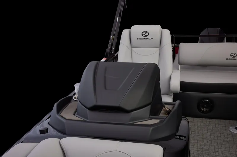 Slide: The Image of Regency 250 DL RF 2026 - 43