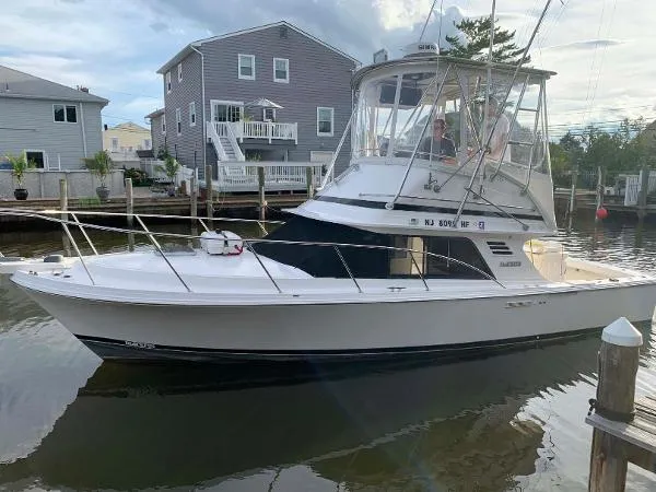Slide: The Image of Blackfin Convertible 1994 - 0