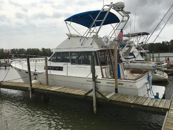 Slide: The Image of Bayliner 3818 Motor Yacht 1988 - 0