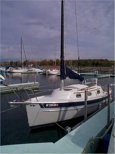 Slide: The Image of Seaward Cat 1996 - 0