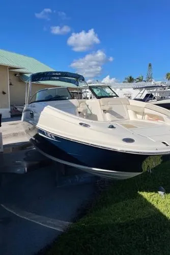 Slide: The Image of Sea Ray 260 Sundeck 2013 - 5