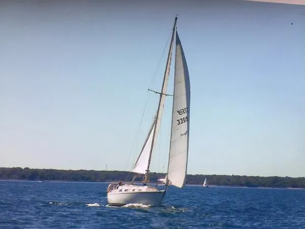 Slide: The Image of Yankee 30 1973 - 1