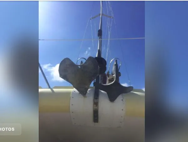 Slide: The Image of Endeavour Catamaran Corp Victory 2001 - 6