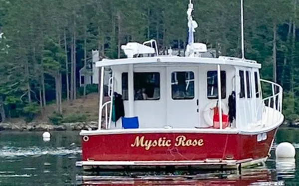 Slide: The Image of Zimmerman Z36 2003 - 3