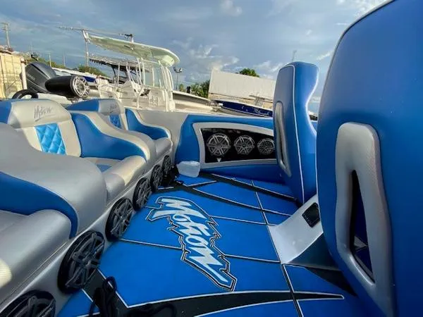 Slide: The Image of Motion 30 Cat 2000 - 4
