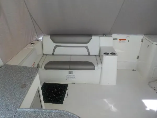 Slide: The Image of World Cat 320 DC 2019 - 10