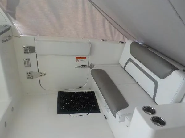 Slide: The Image of World Cat 320 DC 2019 - 11