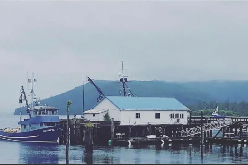 Slide: The Image of Blue fishing vessel docked near a white building, misty mountains in the background. - 2