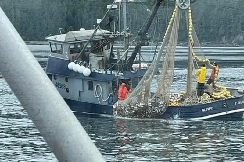 Slide: The Image of Fishing vessel "54 Steel" hauling nets in a serene waterway, 1976 model. - 7