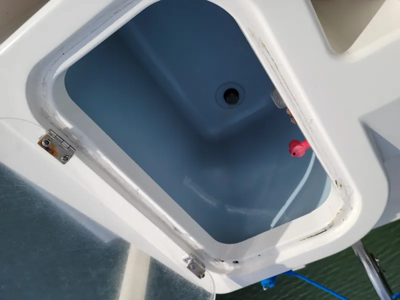 Slide: The Image of Wellcraft 222 Fisher 2017 - 11