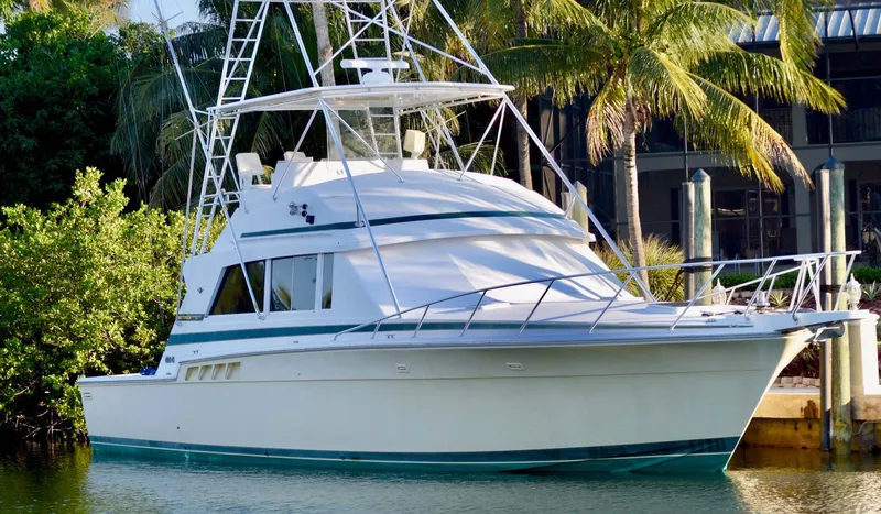 Slide: The Image of Bertram 54 Convertible 1981 - 0