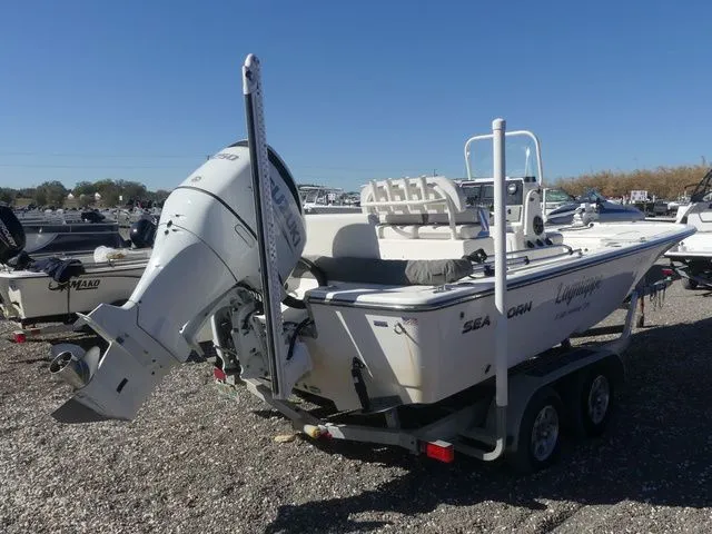 Slide: The Image of Sea Born FX22 Bay 2021 - 4