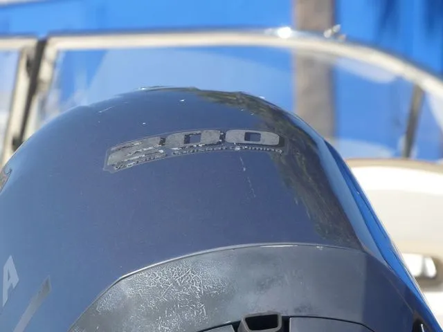 Slide: The Image of Scout 225 Dorado 2017 - 10