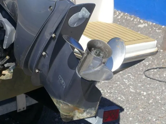 Slide: The Image of Scout 225 Dorado 2017 - 11