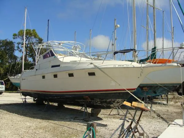 Slide: The Image of Cruisers 3370 1989 - 2