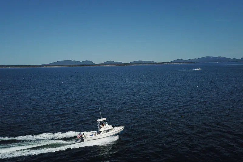 Slide: The Image of 1973 Bertram 31 Flybridge Cruiser sailing on open sea with distant mountains. - 13